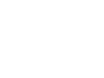 Zvizzer Zvizzer